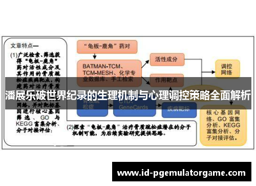 潘展乐破世界纪录的生理机制与心理调控策略全面解析