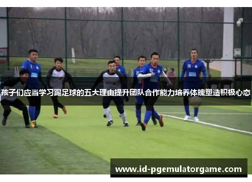 孩子们应当学习踢足球的五大理由提升团队合作能力培养体魄塑造积极心态