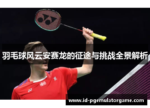 羽毛球风云安赛龙的征途与挑战全景解析