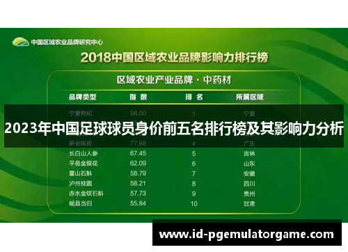 2023年中国足球球员身价前五名排行榜及其影响力分析