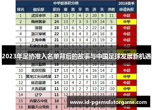 2023年足协准入名单背后的故事与中国足球发展新机遇