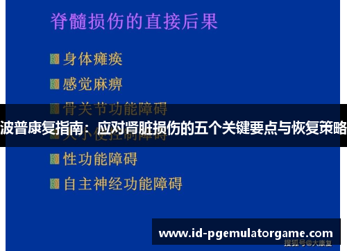 波普康复指南：应对肾脏损伤的五个关键要点与恢复策略