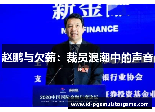 赵鹏与欠薪：裁员浪潮中的声音
