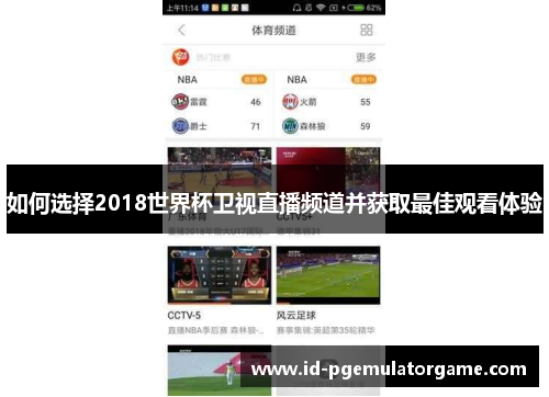 如何选择2018世界杯卫视直播频道并获取最佳观看体验