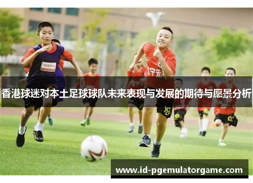 香港球迷对本土足球球队未来表现与发展的期待与愿景分析