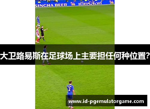 大卫路易斯在足球场上主要担任何种位置? 大卫路易斯在足球场上主要担任何种位置?