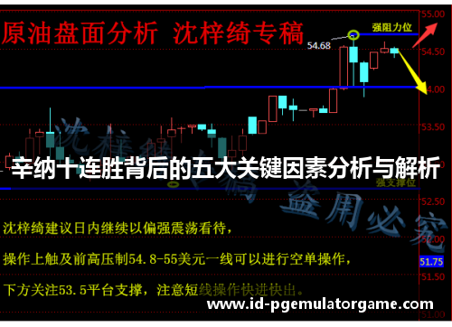 辛纳十连胜背后的五大关键因素分析与解析