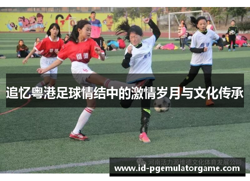 追忆粤港足球情结中的激情岁月与文化传承