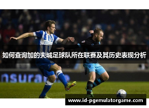 如何查询加的夫城足球队所在联赛及其历史表现分析
