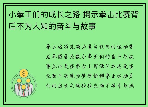 小拳王们的成长之路 揭示拳击比赛背后不为人知的奋斗与故事
