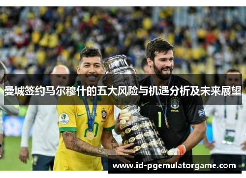 曼城签约马尔穆什的五大风险与机遇分析及未来展望