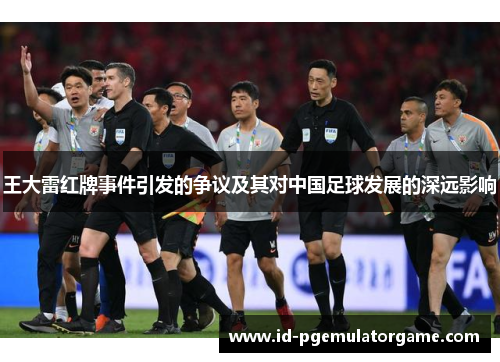 王大雷红牌事件引发的争议及其对中国足球发展的深远影响